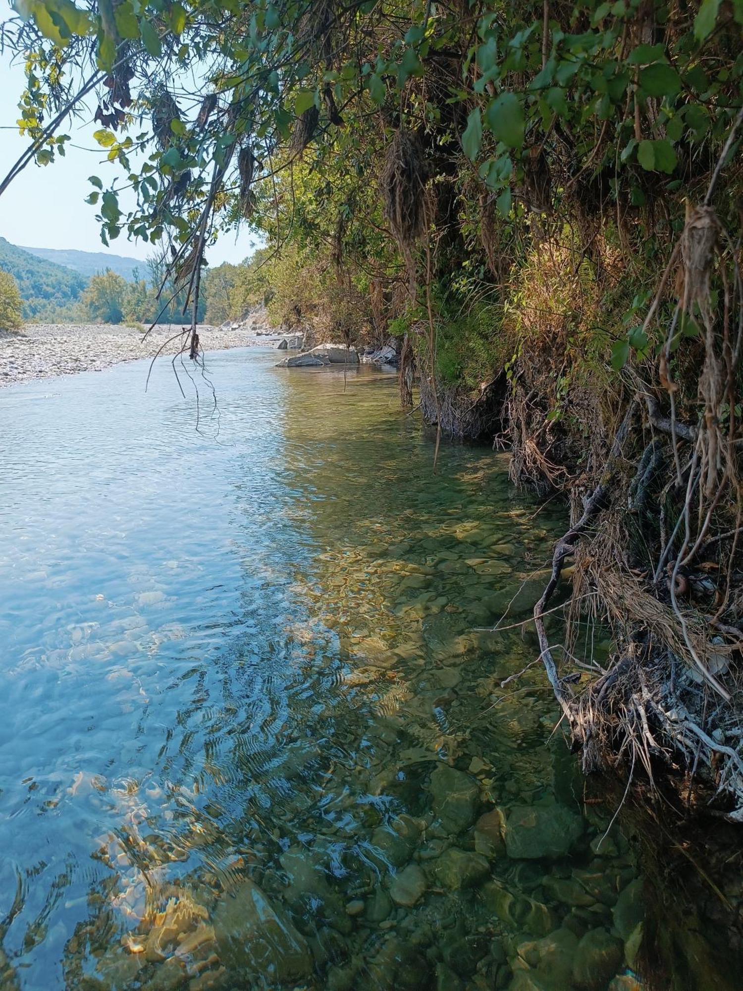 Il Nido Di Matilde _Monolocale Design Sul Fiume_ Leilighet Rossena Eksteriør bilde